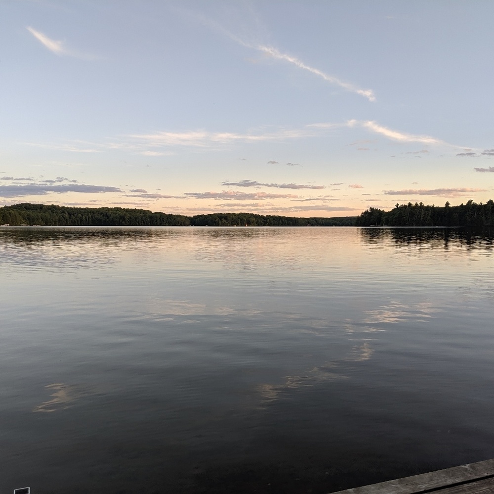 Meet your Posher, Clara